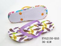 EVA2150-KA5