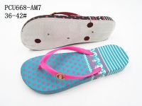 PCU668-AM7