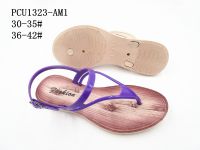 PCU1323-AM1