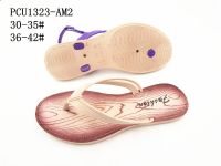 PCU1323-AM2
