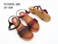 PCU8899-AM5