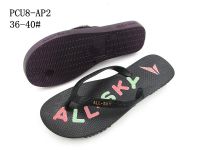 PCU8-AP2
