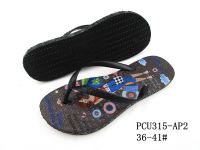 PCU315-AP2