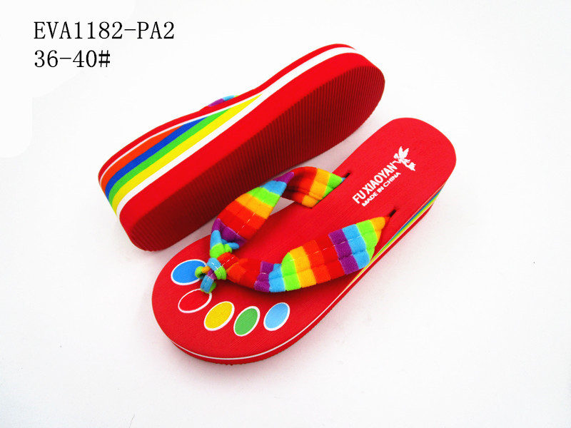 EVA1182-PA2