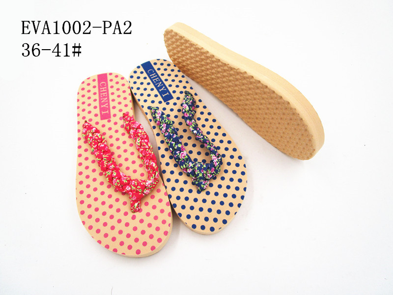 EVA1002-PA2