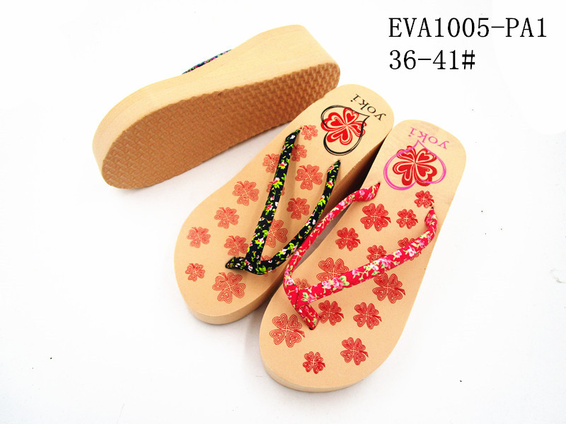 EVA1005-PA1