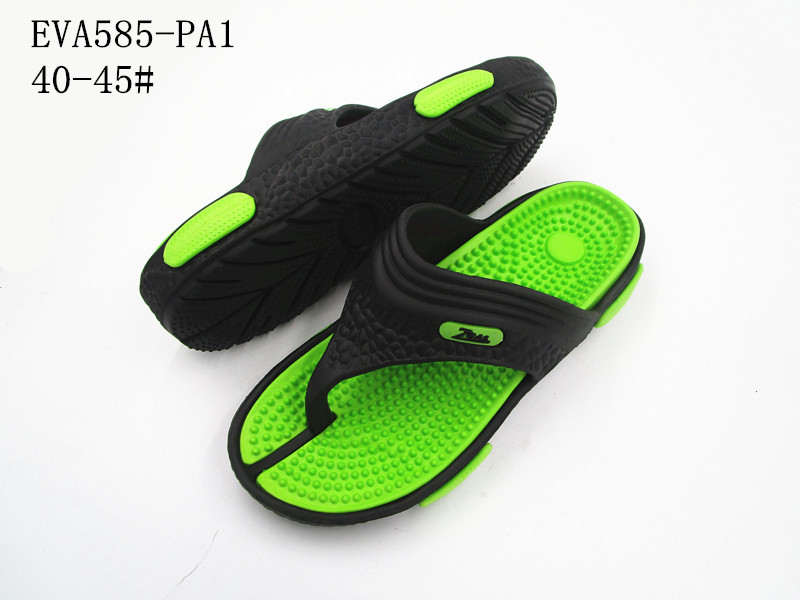 EVA585-PA1