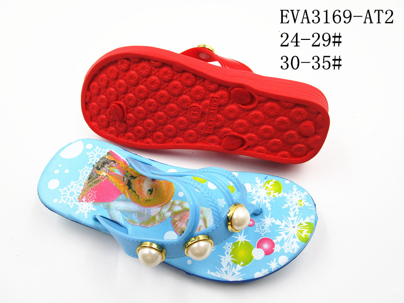 EVA3169-AT2