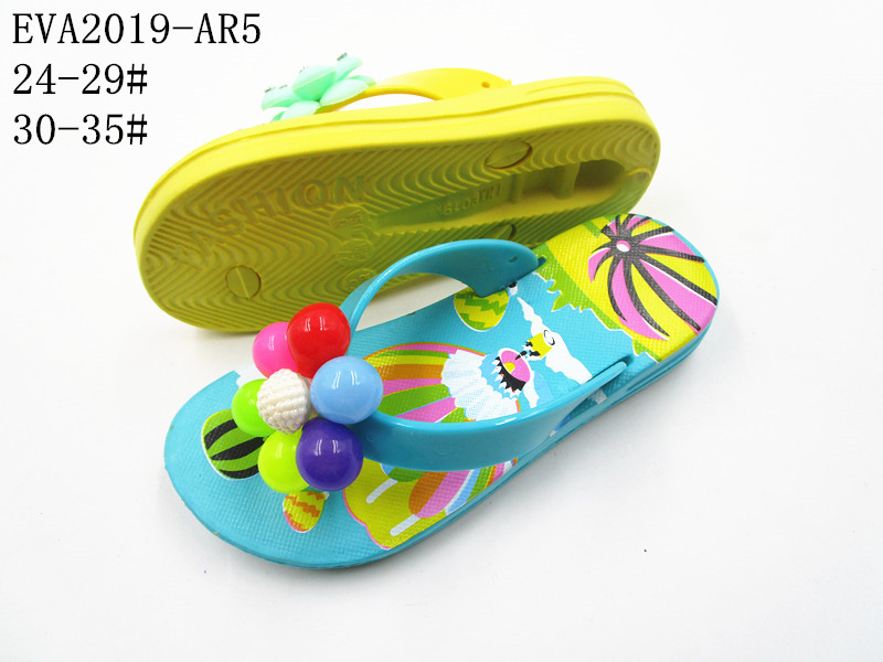 EVA2019-AR5