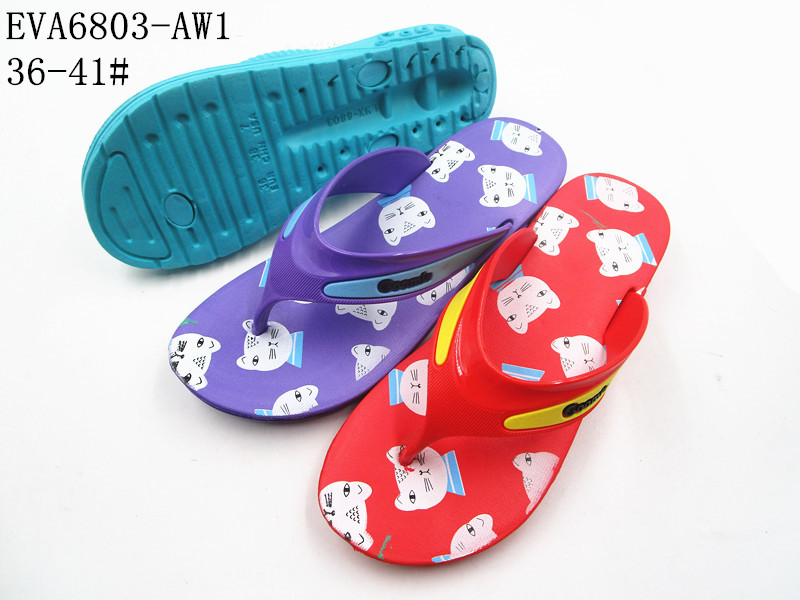 EVA6803-AW1