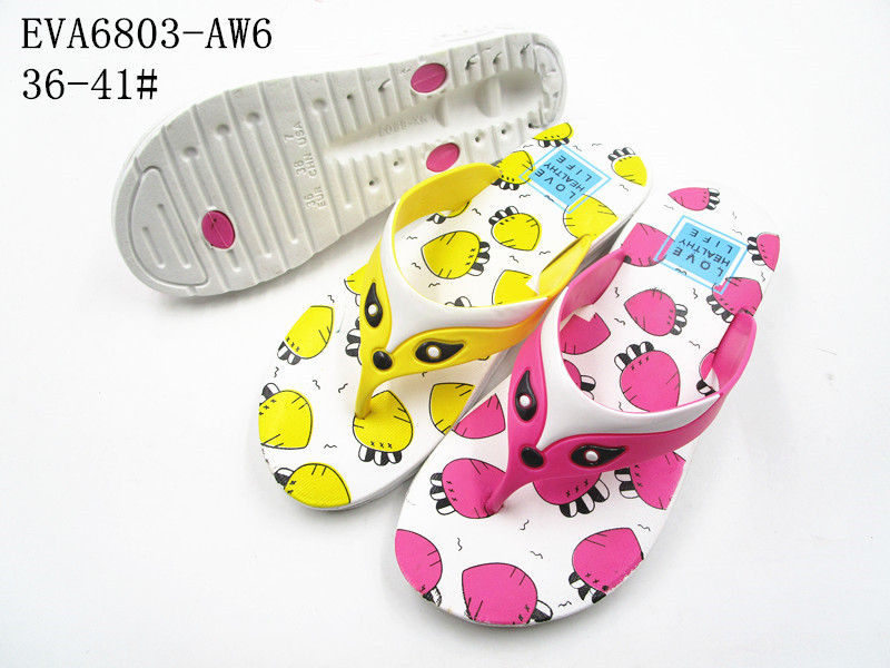 EVA6803-AW6