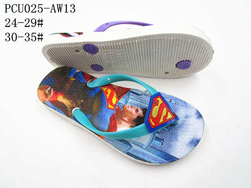 PCU025-AW13